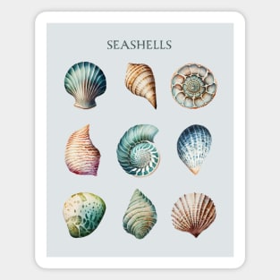 Seashell Collecting Beachcombing Lover Sea Shell Collector Magnet